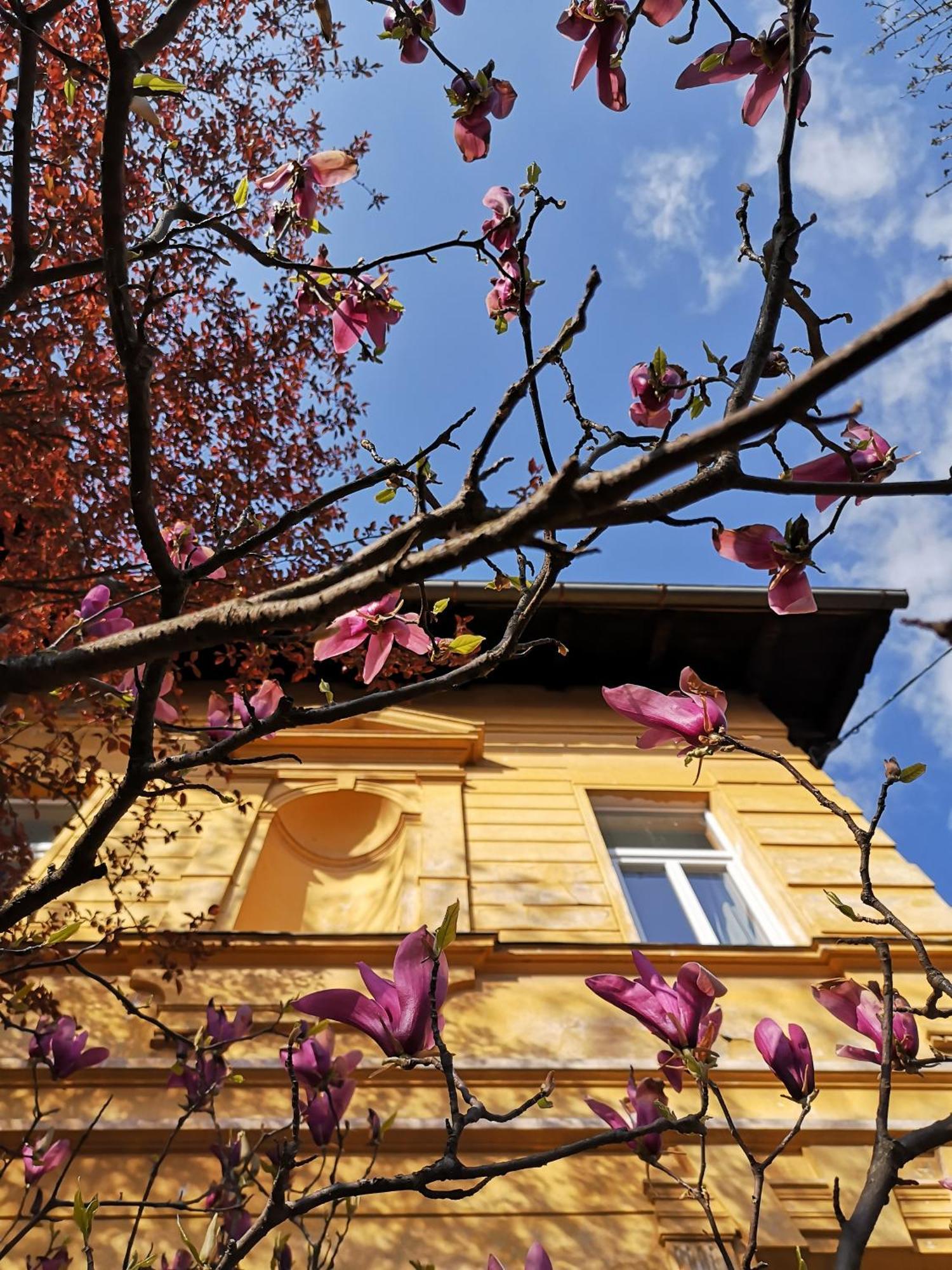 The Villa, Ljubljana City Center Luaran gambar